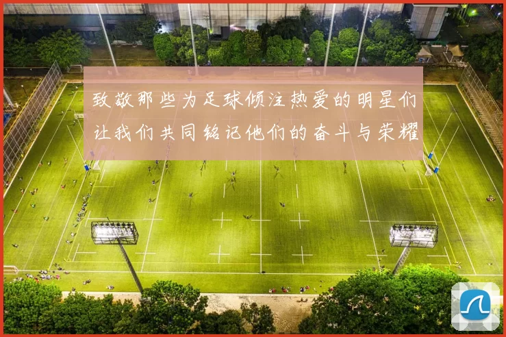 致敬那些为足球倾注热爱的明星们让我们共同铭记他们的奋斗与荣耀