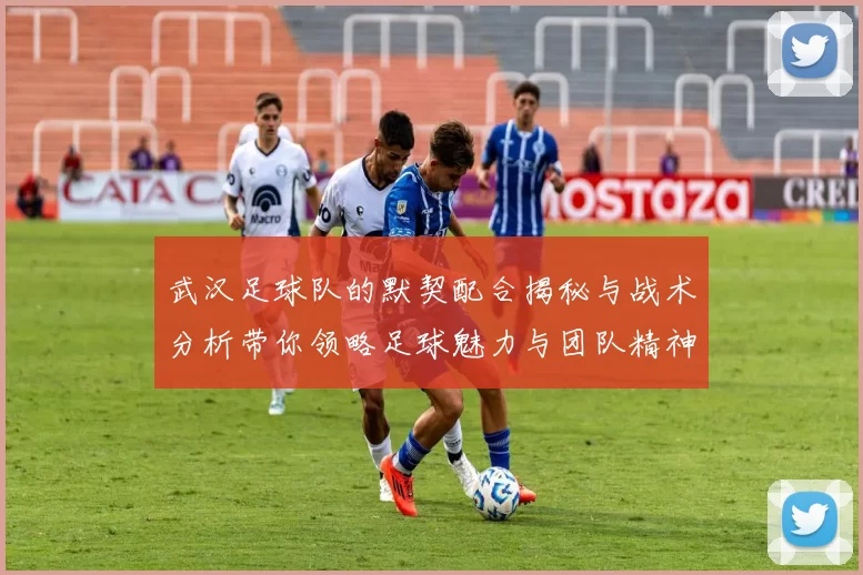 武汉足球队的默契配合揭秘与战术分析带你领略足球魅力与团队精神