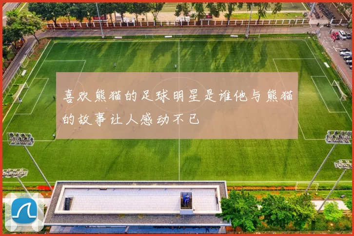 喜欢熊猫的足球明星是谁他与熊猫的故事让人感动不已