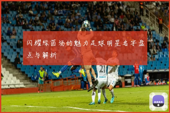 闪耀绿茵场的魅力足球明星名字盘点与解析