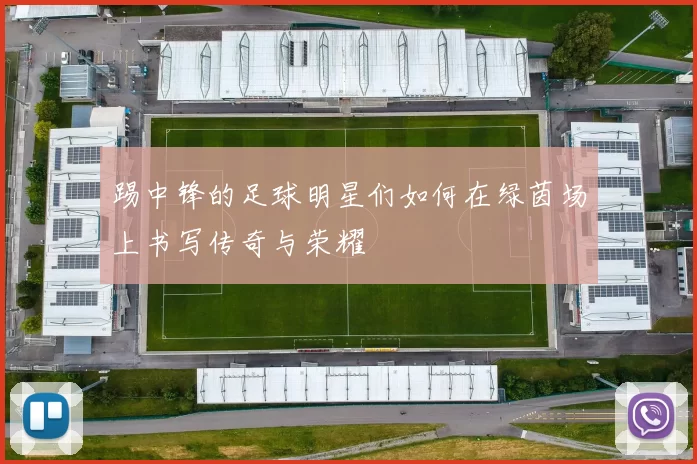 踢中锋的足球明星们如何在绿茵场上书写传奇与荣耀