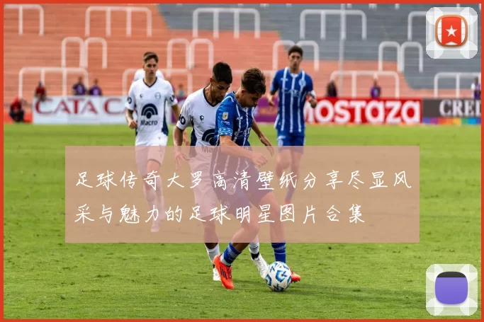 足球传奇大罗高清壁纸分享尽显风采与魅力的足球明星图片合集