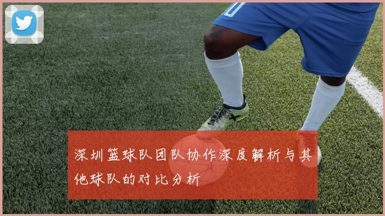 深圳篮球队团队协作深度解析与其他球队的对比分析
