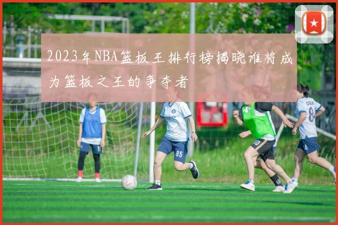 2023年NBA篮板王排行榜揭晓谁将成为篮板之王的争夺者