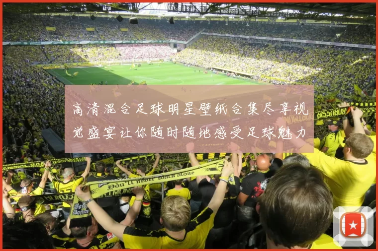 高清混合足球明星壁纸合集尽享视觉盛宴让你随时随地感受足球魅力
