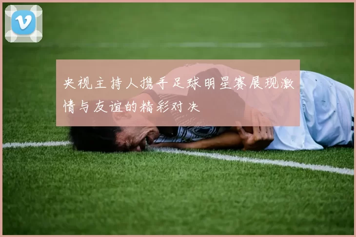 央视主持人携手足球明星赛展现激情与友谊的精彩对决