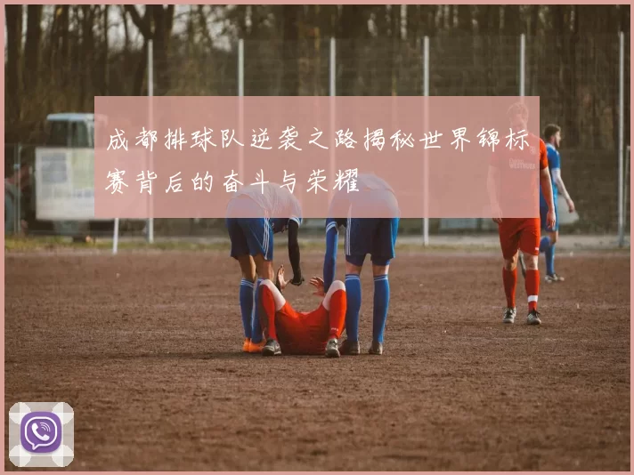 成都排球队逆袭之路揭秘世界锦标赛背后的奋斗与荣耀