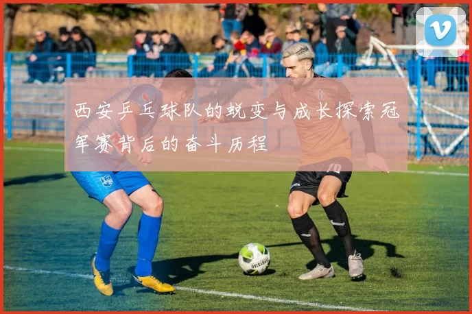 西安乒乓球队的蜕变与成长探索冠军赛背后的奋斗历程