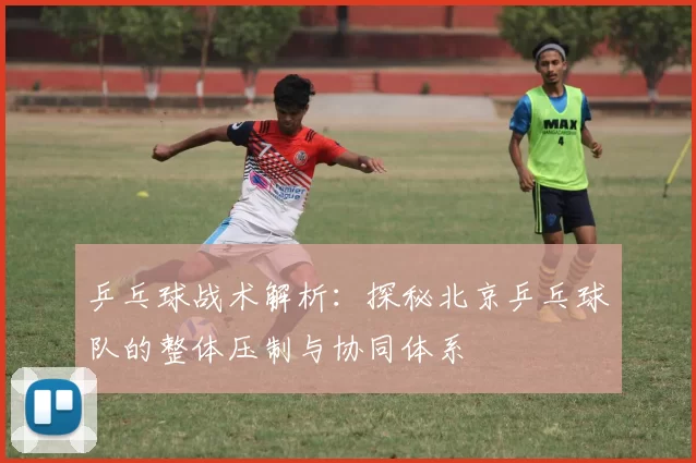 乒乓球战术解析：探秘北京乒乓球队的整体压制与协同体系